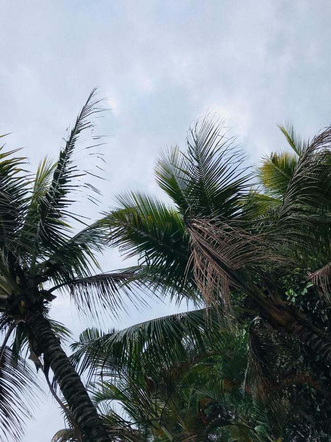 Chacara Recanto Paraiso Jarinu Exterior foto