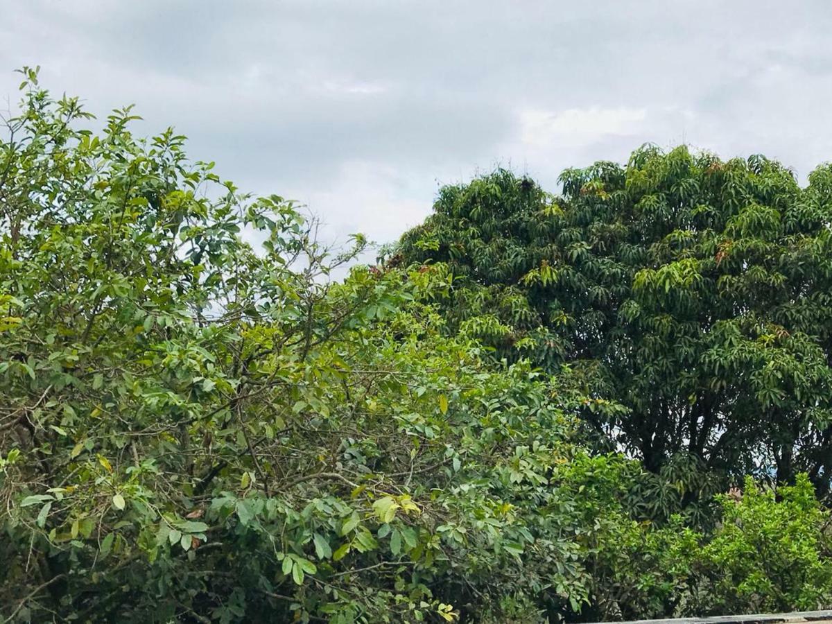 Chacara Recanto Paraiso Jarinu Exterior foto